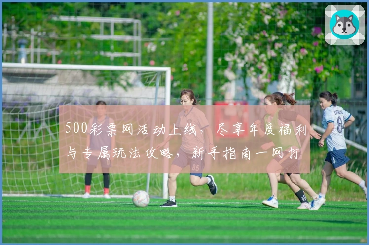 500彩票网活动上线，尽享年度福利与专属玩法攻略，新手指南一网打尽