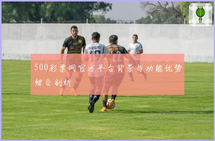 500彩票网官方平台背景与功能优势综合剖析